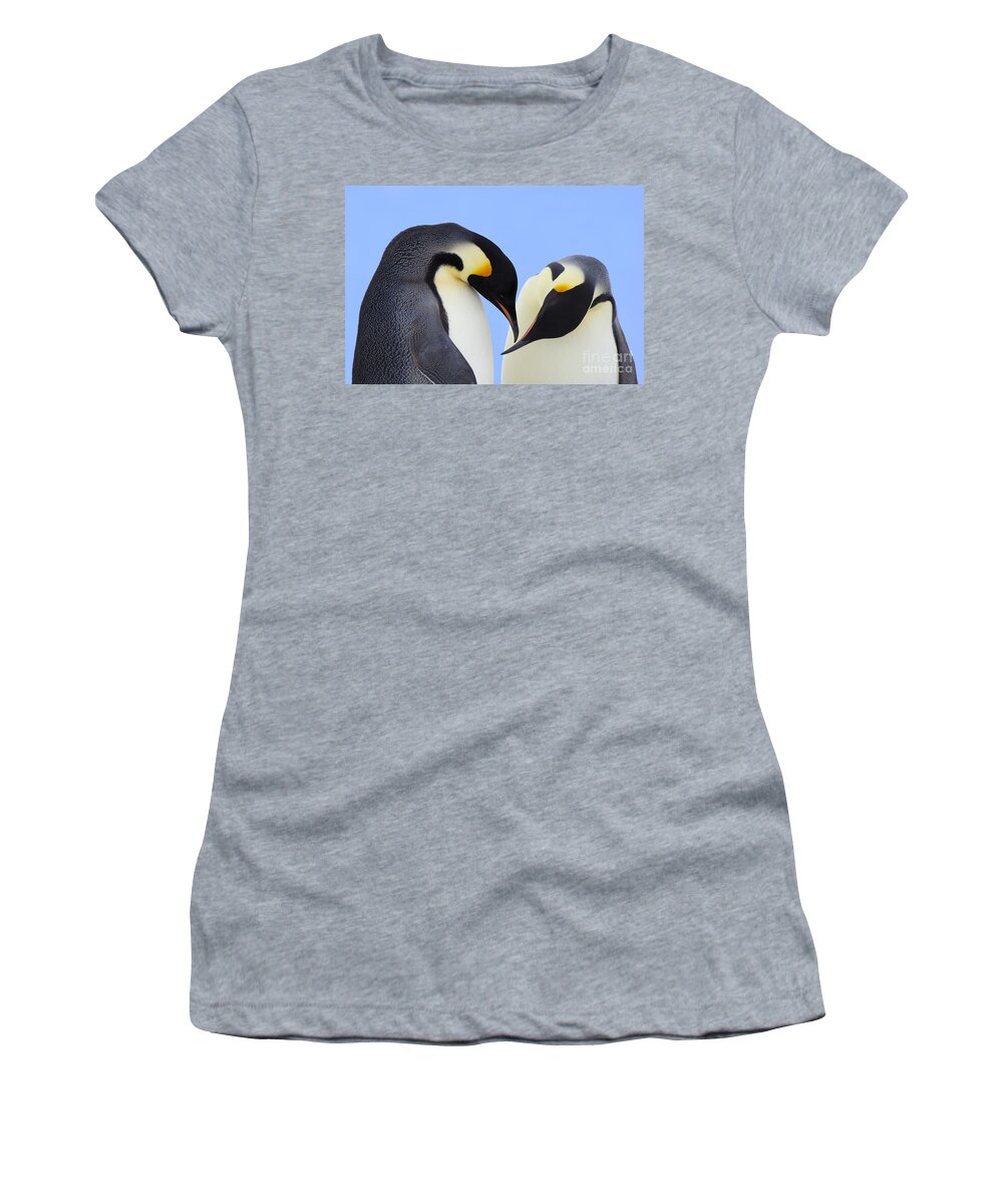 Mp Women's T-Shirt featuring the photograph Emperor Penguin Aptenodytes Forsteri #2 by Jan Vermeer