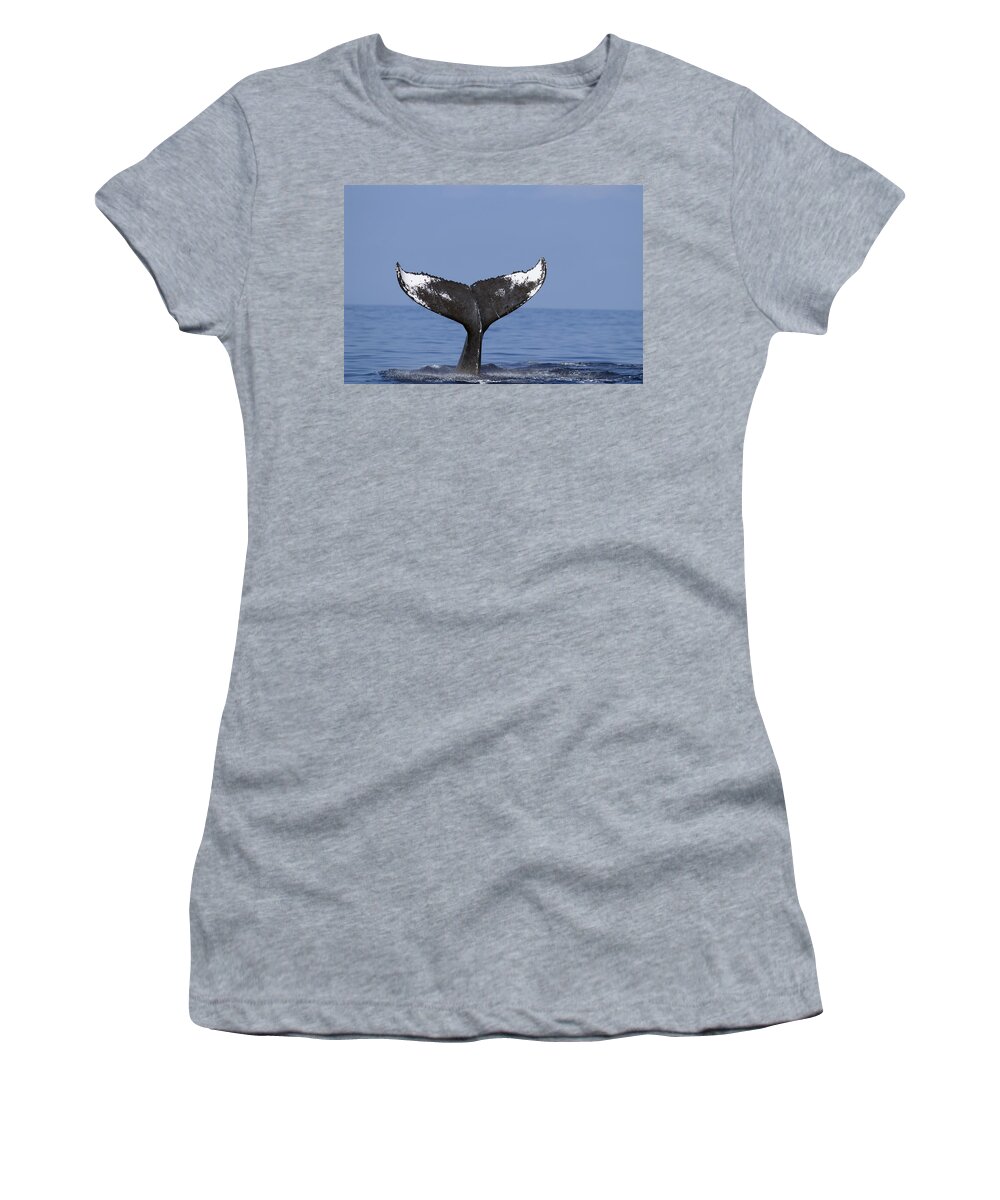 00999156 Women's T-Shirt featuring the photograph Humpback Whale Tail Maui Hawaii #3 by Flip Nicklin