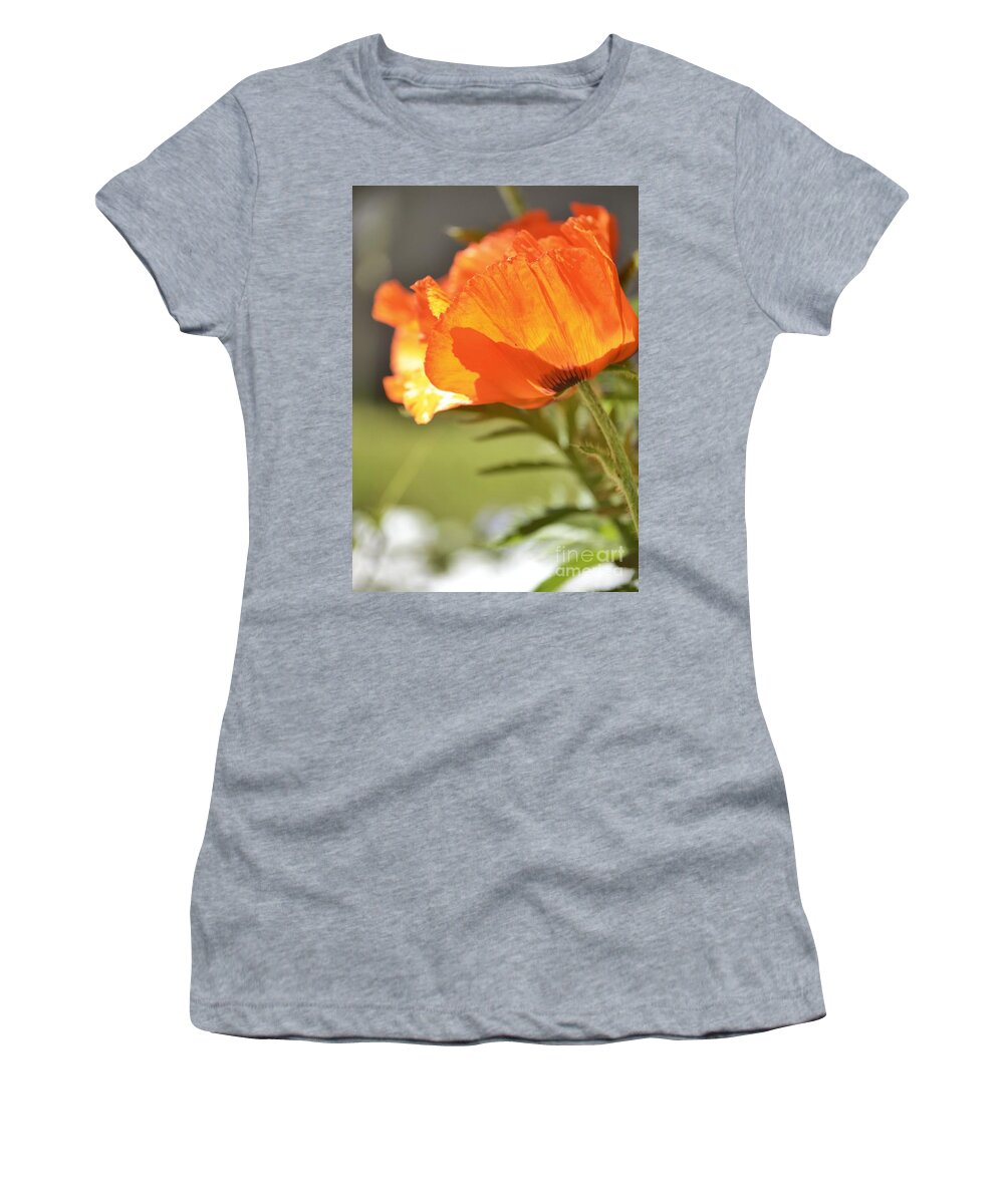 Poppy Women's T-Shirt featuring the photograph Peace #3 by Traci Cottingham