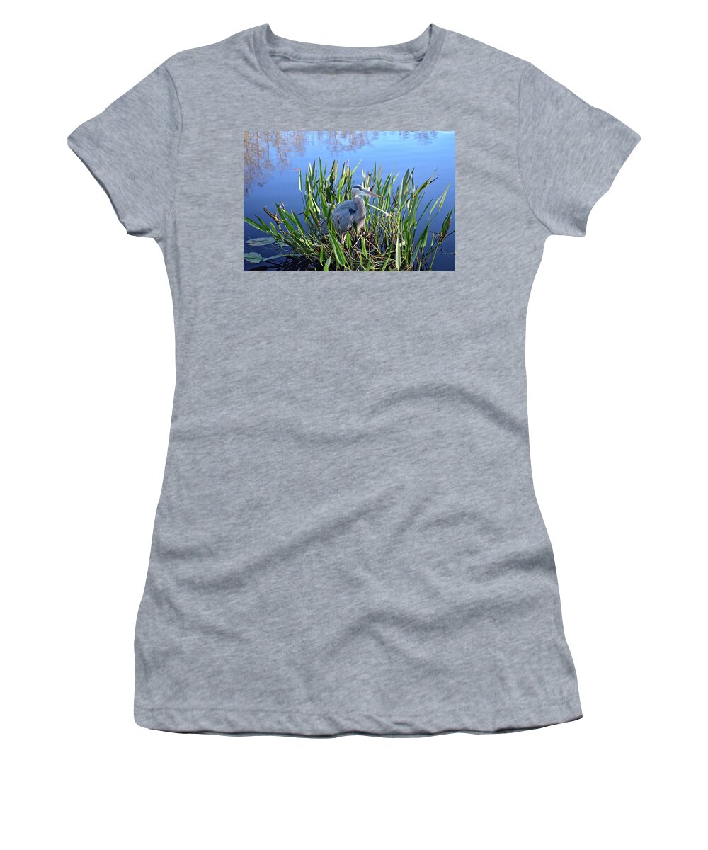 Great Blue Heron Women's T-Shirt featuring the photograph 30- Great Blue Heron by Joseph Keane