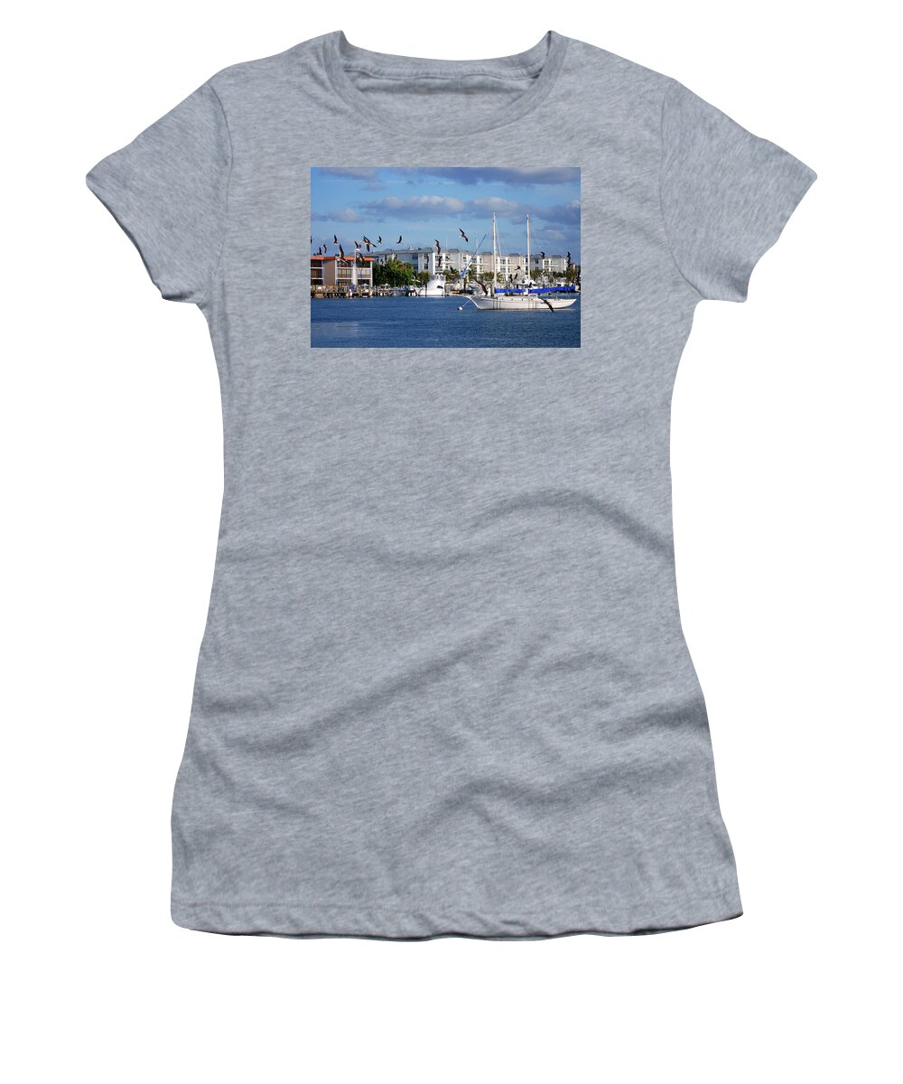  Women's T-Shirt featuring the photograph 5- Black Skimmers by Joseph Keane