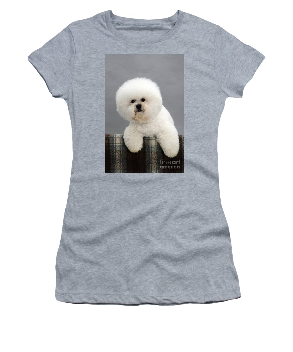 Dog Women's T-Shirt featuring the photograph Bichon Frise #9 by Jane Burton