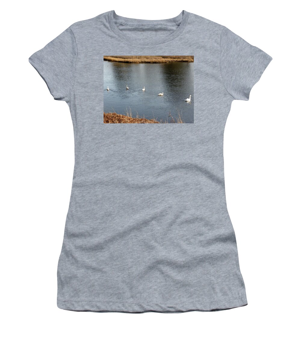 Swan Women's T-Shirt featuring the photograph A family swim by Kim Galluzzo