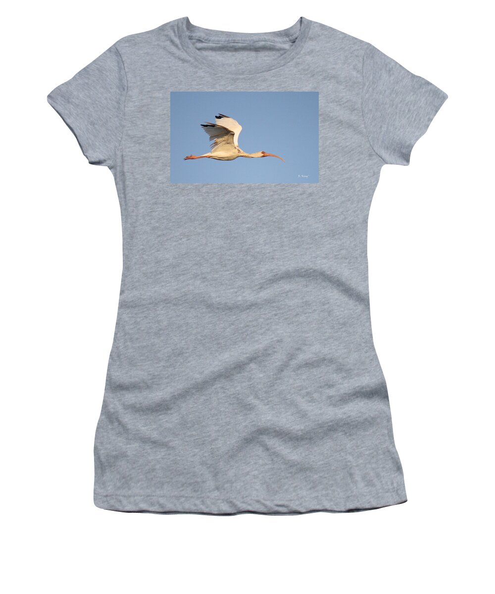 Roena King Women's T-Shirt featuring the photograph A Flying White Ibis by Roena King