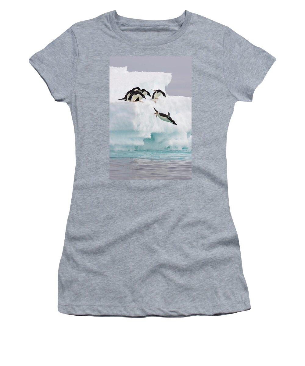 Mp Women's T-Shirt featuring the photograph Adelie Penguin Pygoscelis Adeliae by Suzi Eszterhas