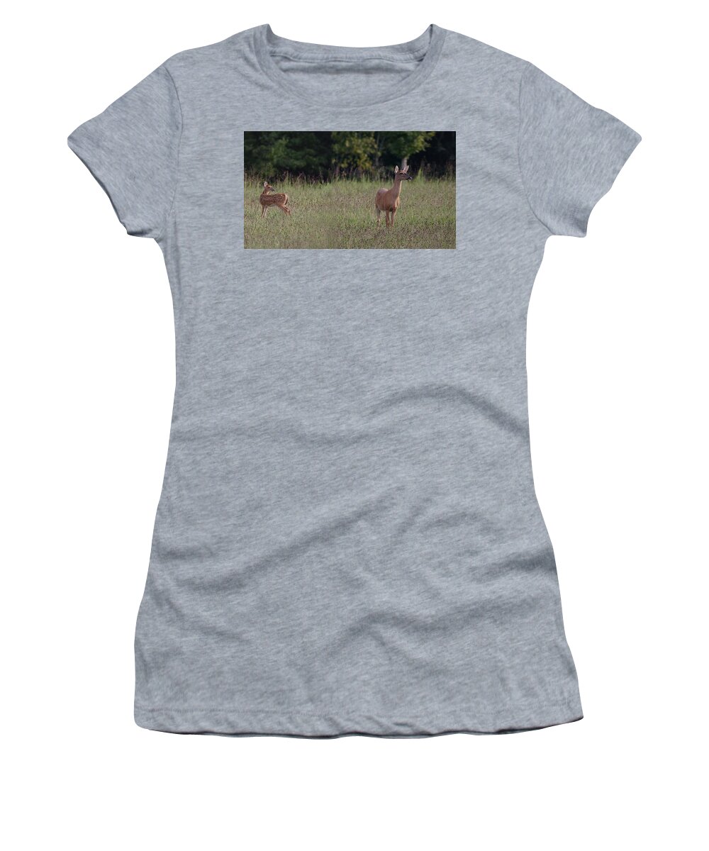 Odocoileus Virginanus Women's T-Shirt featuring the photograph Alert Doe And Fawn by Daniel Reed