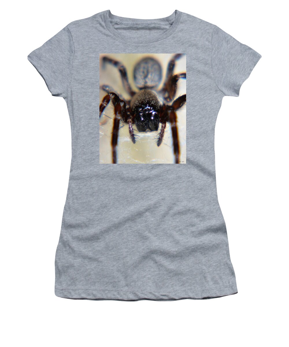 Spider Women's T-Shirt featuring the photograph Australian Face by Chriss Pagani