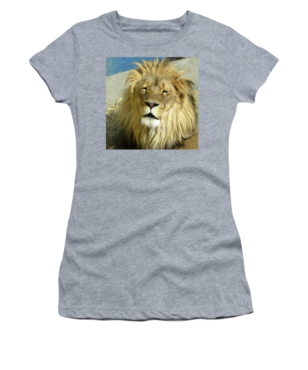 Lion Women's T-Shirt featuring the photograph Bad Hair Day by George Jones
