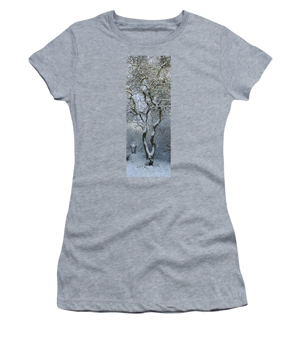 Mp Women's T-Shirt featuring the photograph Bare, Snow-covered Tree In Winter by Cyril Ruoso