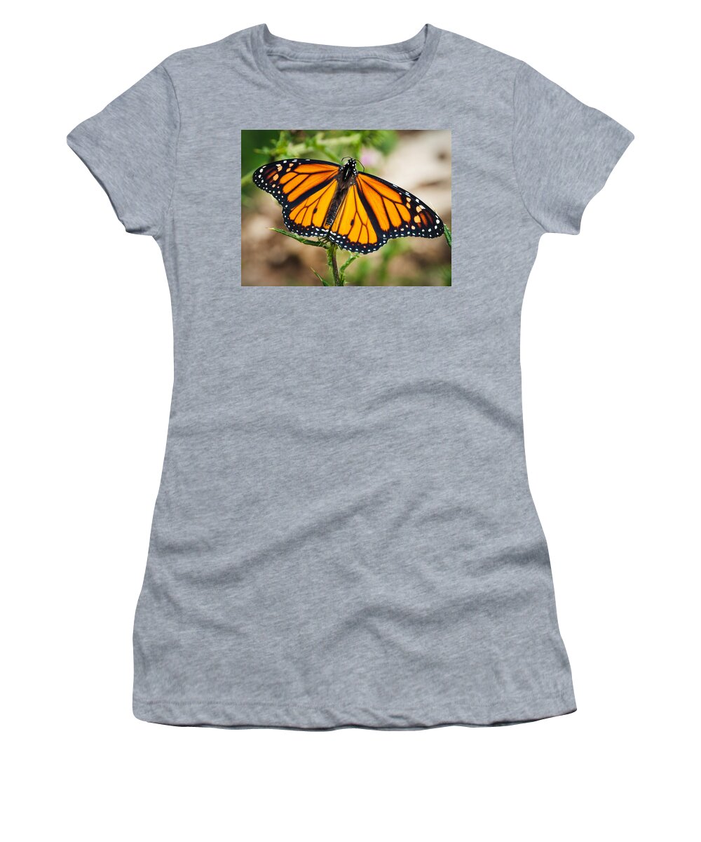 Monarch Women's T-Shirt featuring the photograph Beautiful Boy by Cheryl Baxter