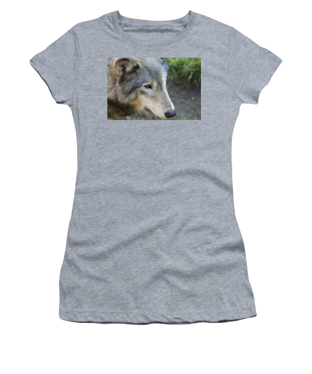 Fur Women's T-Shirt featuring the photograph Beautiful in Fur by Laddie Halupa