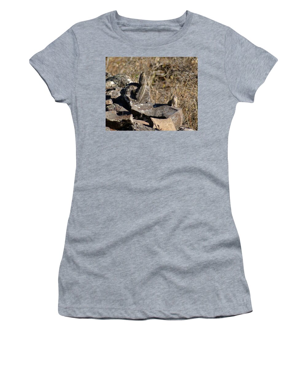 Chipmunks Women's T-Shirt featuring the photograph Beautiful Munks by Ben Upham III
