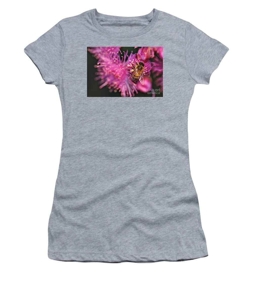 Photography Women's T-Shirt featuring the photograph Bee on Lollypop Blossom by Kaye Menner