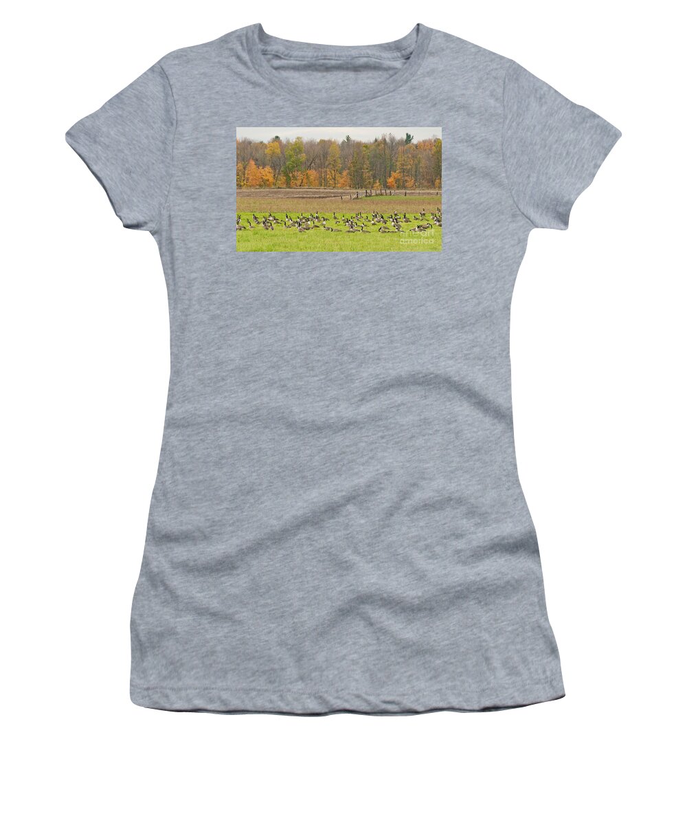 Geese Women's T-Shirt featuring the photograph Before the Trip South by Cheryl Baxter