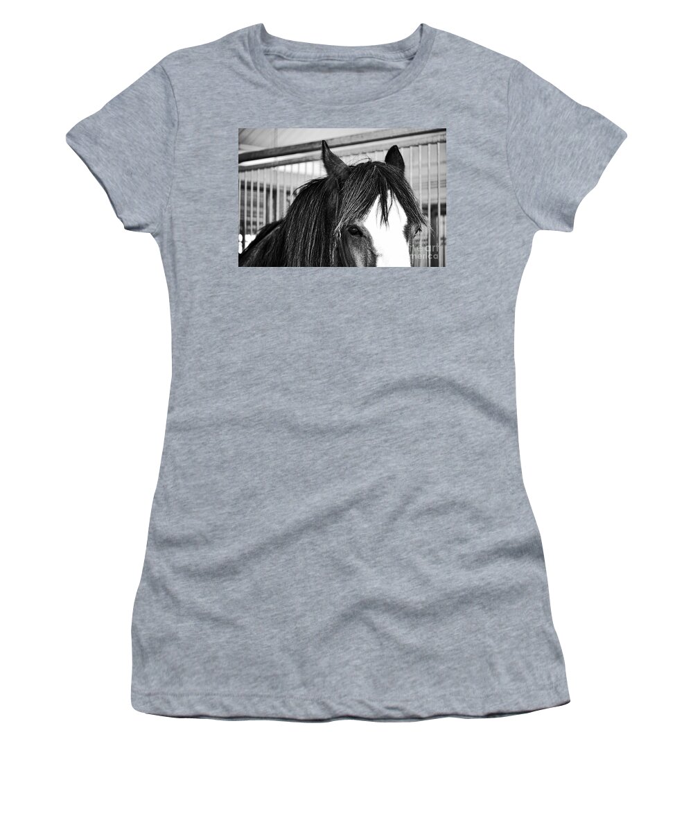 Horse Women's T-Shirt featuring the photograph Best Friend by Traci Cottingham