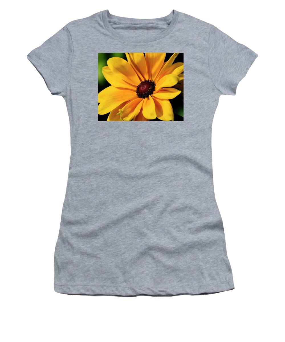 Flower Women's T-Shirt featuring the photograph Black eyed Susan by Bill Dodsworth