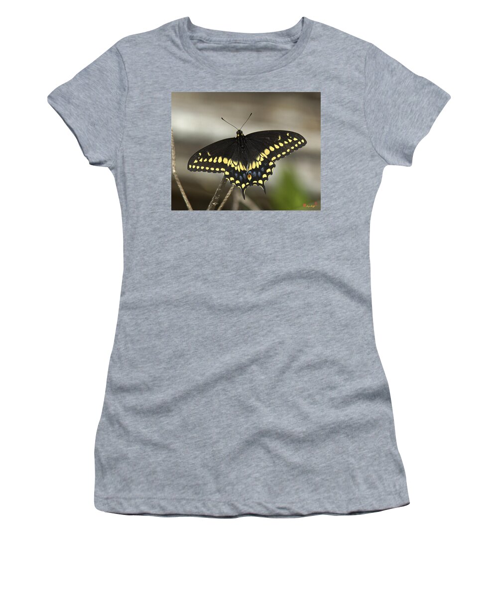Insect Women's T-Shirt featuring the photograph Black Swallowtail DIN103 by Gerry Gantt