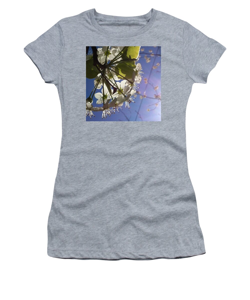 Tree Women's T-Shirt featuring the photograph Blossoms In Bloom by Katie Cupcakes