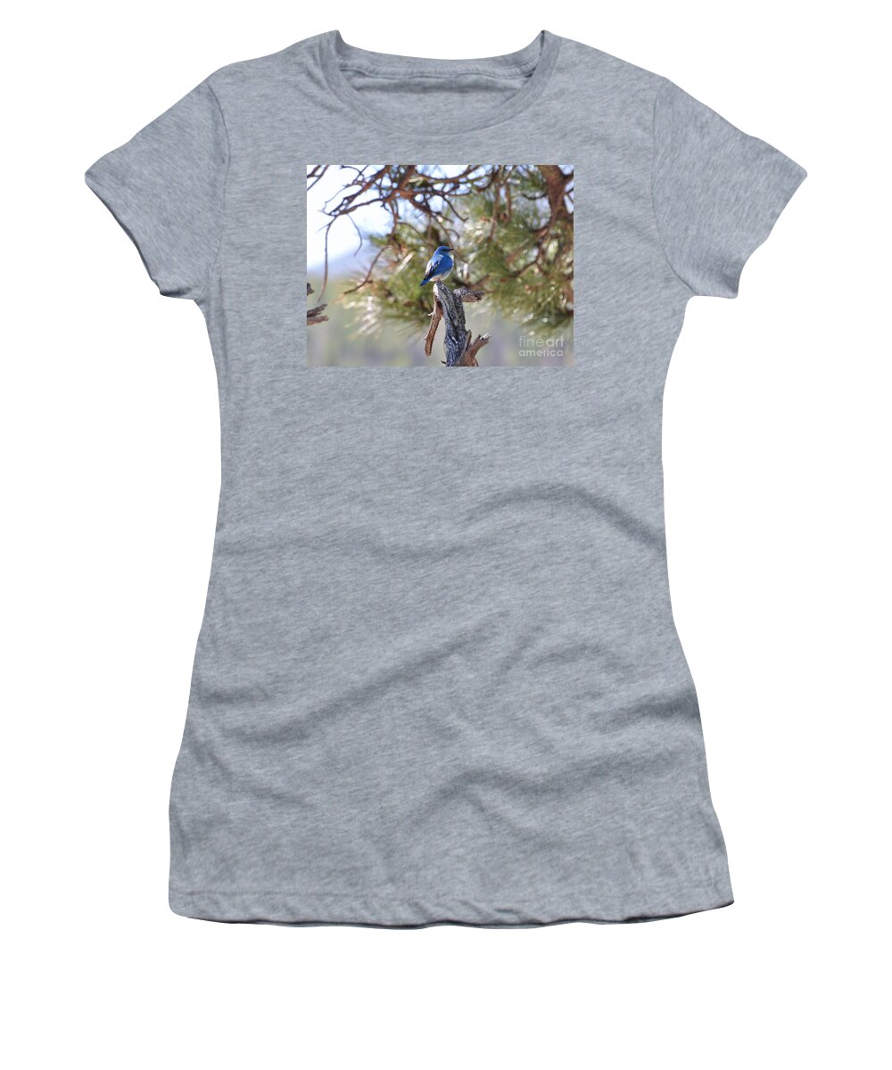 Birds Women's T-Shirt featuring the photograph Blue Boy by Dorrene BrownButterfield