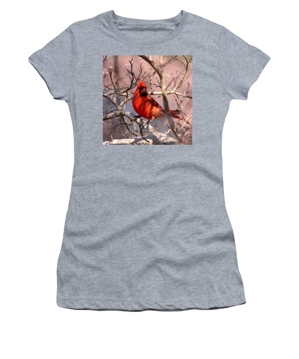 Nature Women's T-Shirt featuring the photograph Bright Red by Travis Truelove