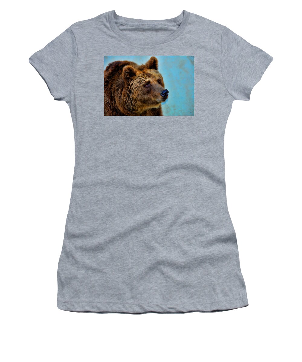 Bear Women's T-Shirt featuring the painting Brown Bear 203 by Dean Wittle