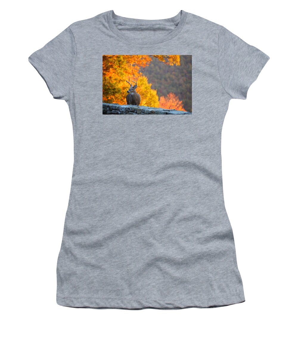 Metro Women's T-Shirt featuring the photograph Buck in the Fall 04 by Metro DC Photography