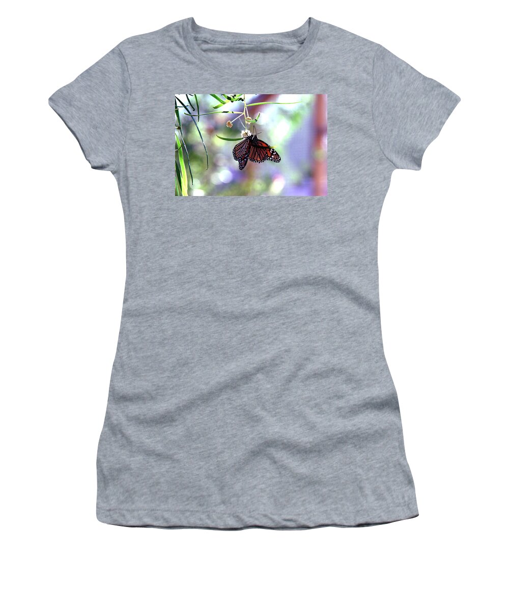 Butterfly Women's T-Shirt featuring the photograph Butterfly Meet-up by Tam Ryan