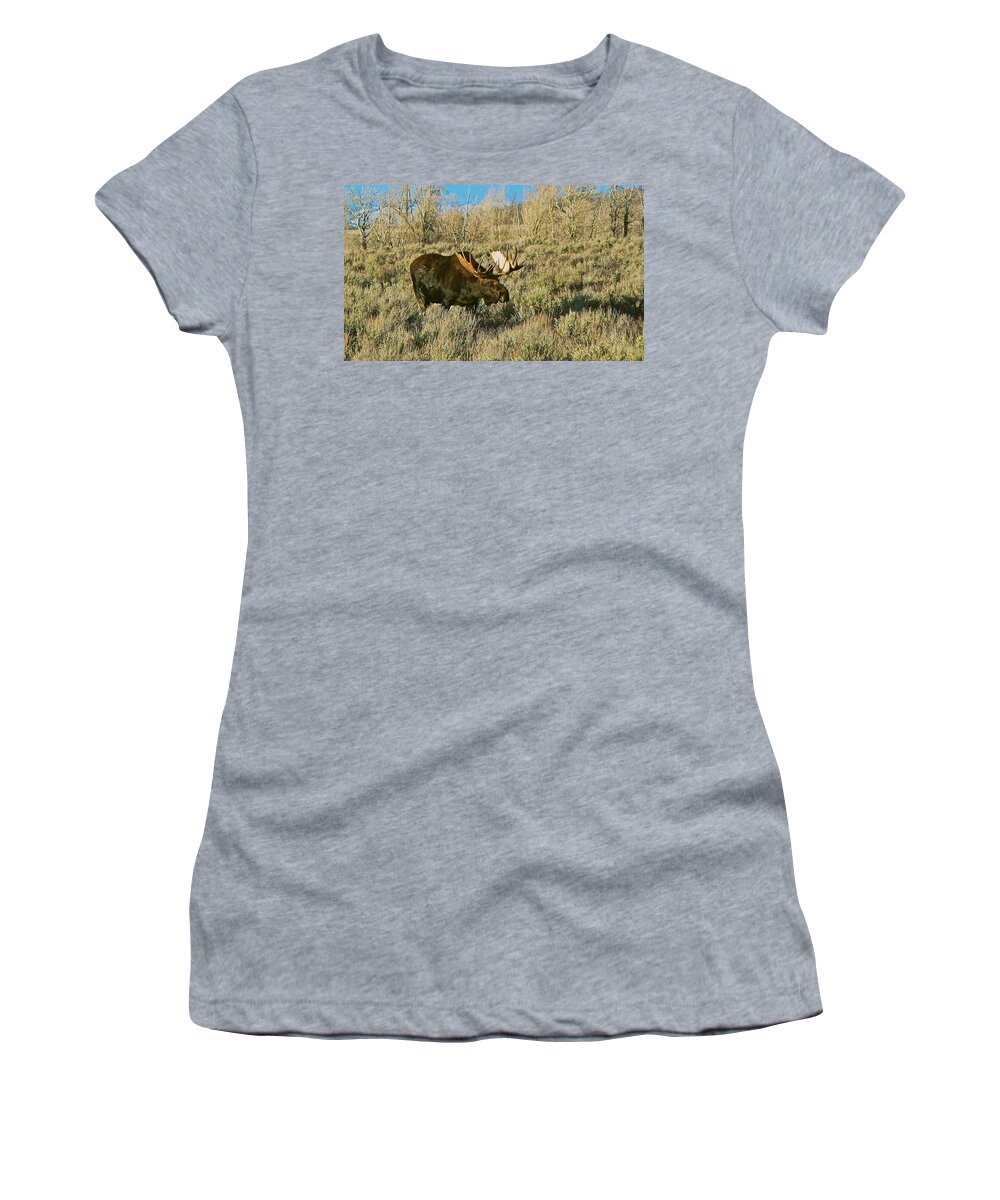 Moose Women's T-Shirt featuring the photograph Casting a Long Shadow by Eric Tressler