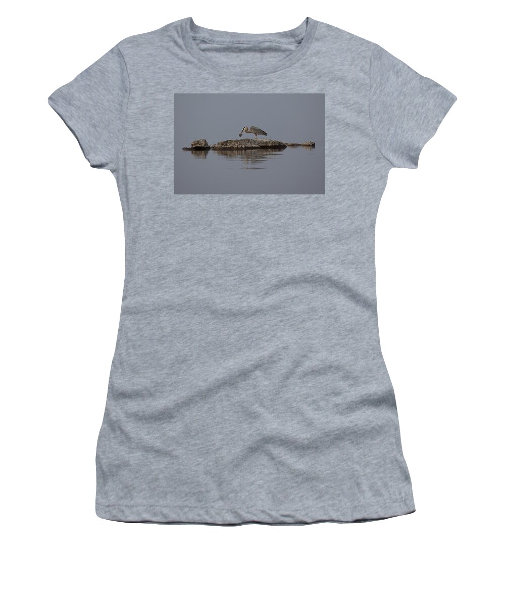 Bird Women's T-Shirt featuring the photograph Caught One by Eunice Gibb