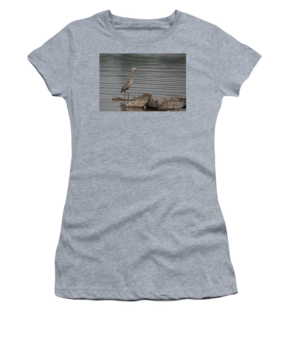 Heron Women's T-Shirt featuring the photograph Cautious by Eunice Gibb