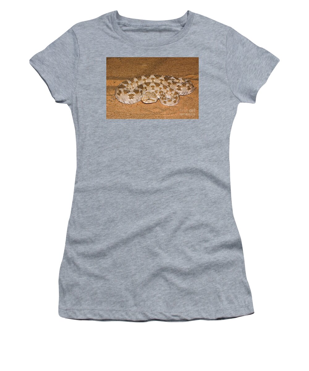Snake Women's T-Shirt featuring the photograph Cerastes cerastes horned viper by Alon Meir