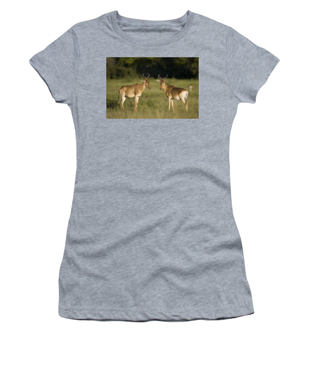00784058 Women's T-Shirt featuring the photograph Cokes Hartebeest Pair Masai Mara Kenya by Suzi Eszterhas