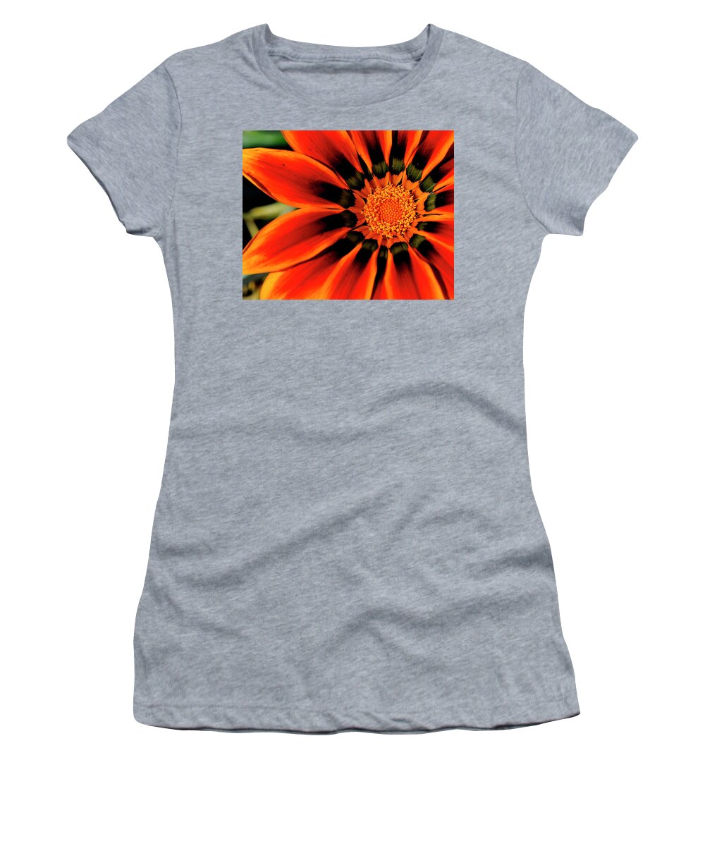 Flower Women's T-Shirt featuring the photograph Colorful Daisy by Bill Dodsworth