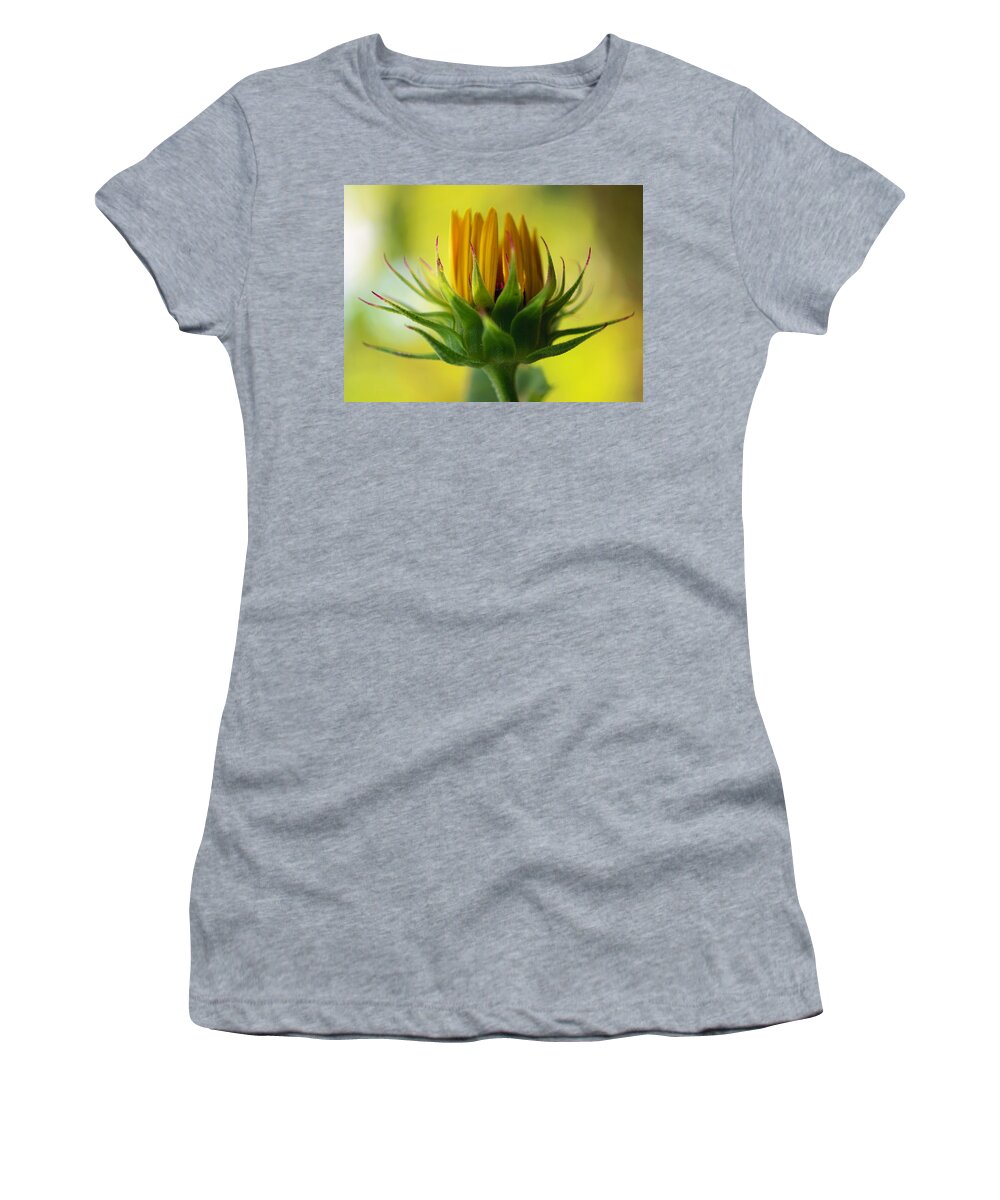 Flower Women's T-Shirt featuring the photograph Colors of the Spirit by Melanie Moraga