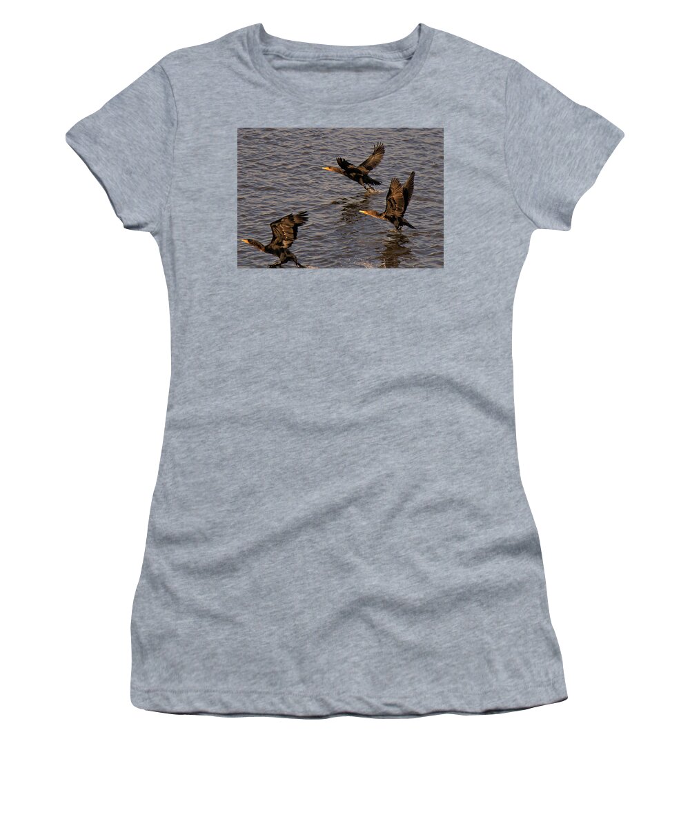 Cormorants Women's T-Shirt featuring the photograph Cormorants in Flight 1 by Lawrence Christopher