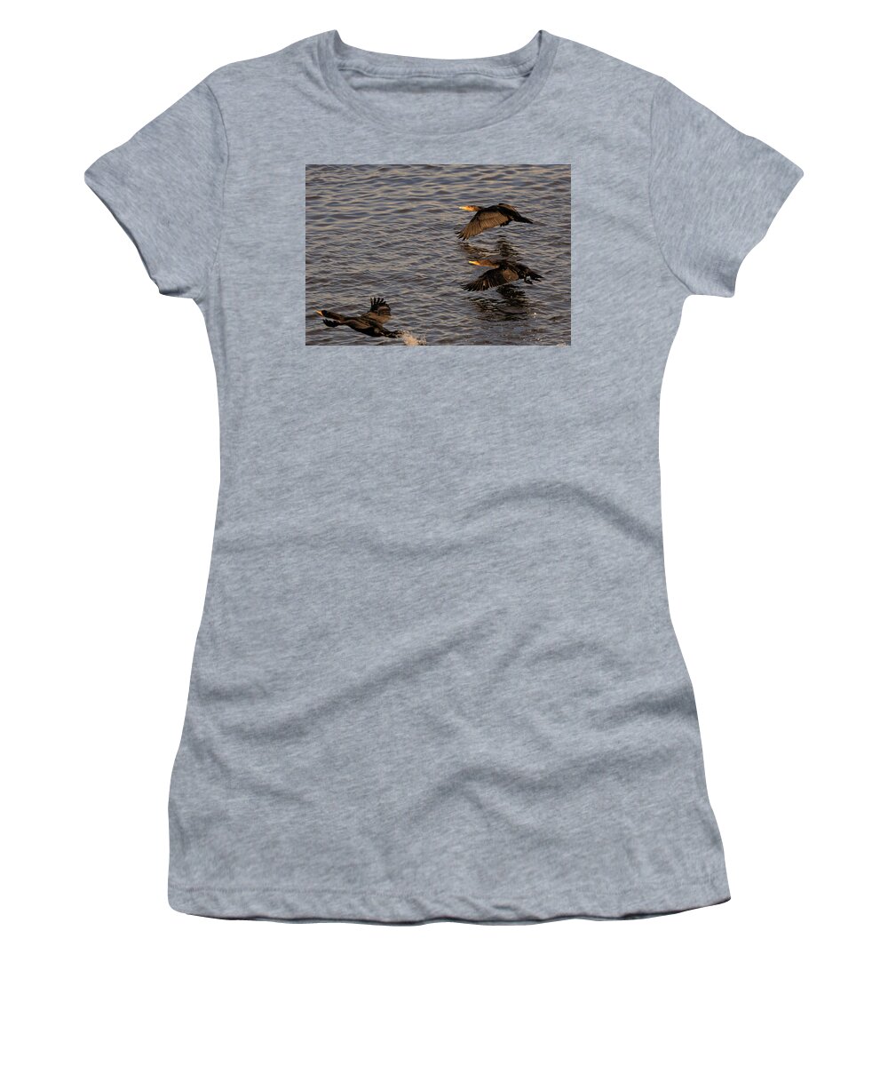 Cormorants Women's T-Shirt featuring the photograph Cormorants in Flight 2 by Lawrence Christopher