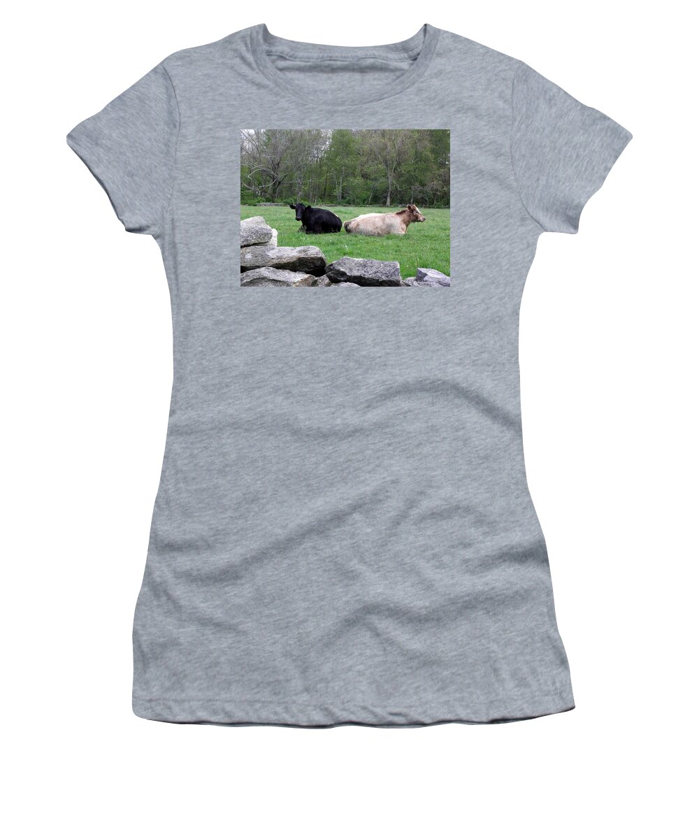 Cows Women's T-Shirt featuring the photograph Cows by Kim Galluzzo