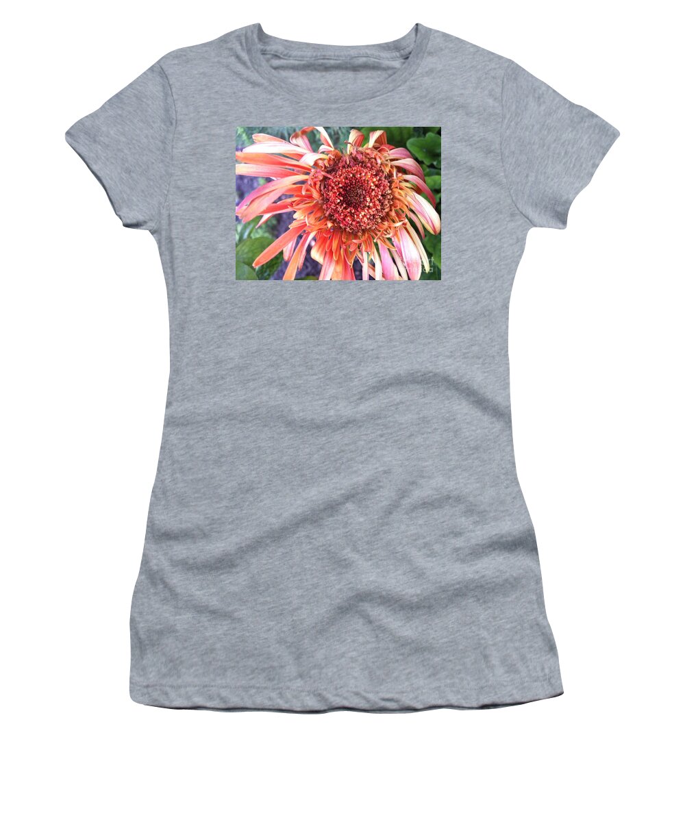 Red Flower Women's T-Shirt featuring the photograph Daisy in the Wind by Vonda Lawson-Rosa