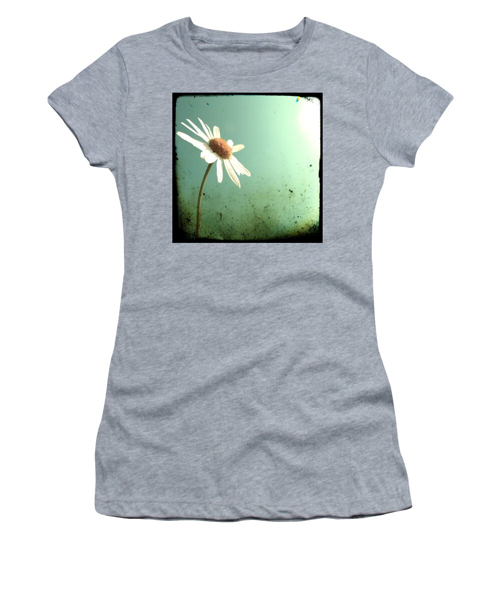 Daisy Women's T-Shirt featuring the photograph Daisy by Marianna Mills