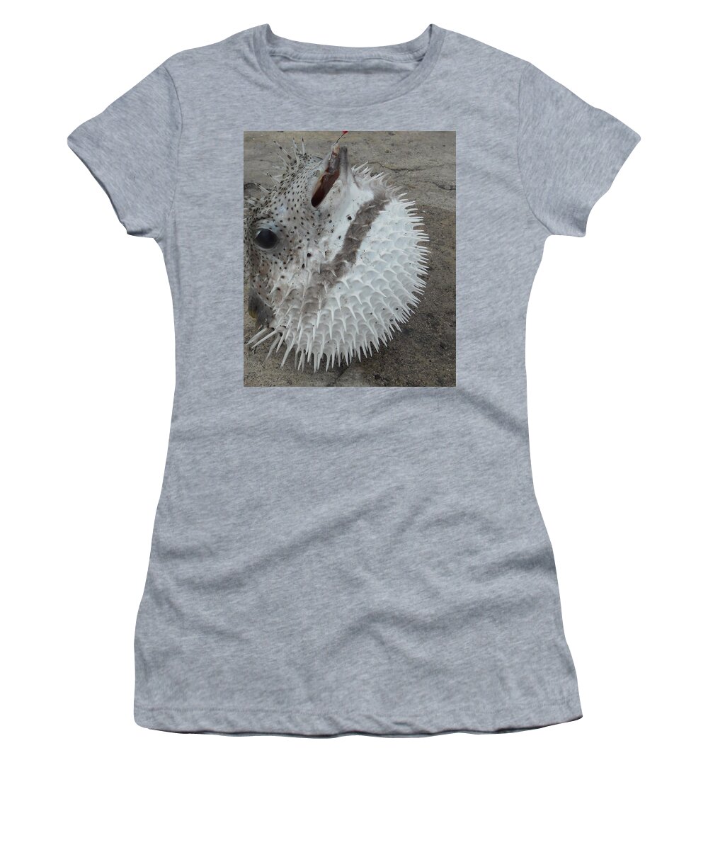 Hawaii Women's T-Shirt featuring the photograph Dancing Pufferfish by Anthony Trillo