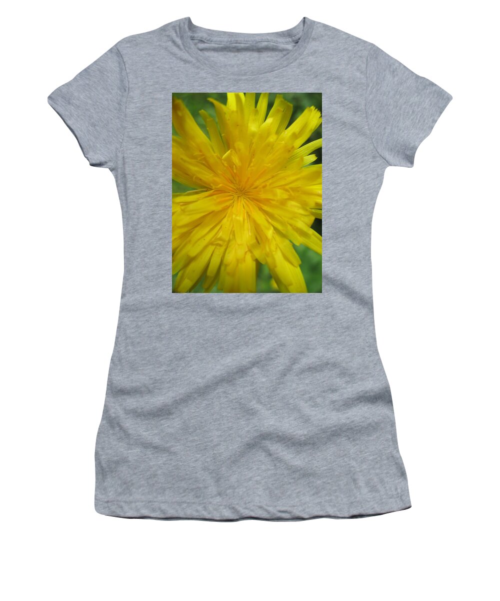 Dandelion Women's T-Shirt featuring the photograph Dandelion Close Up by Kym Backland