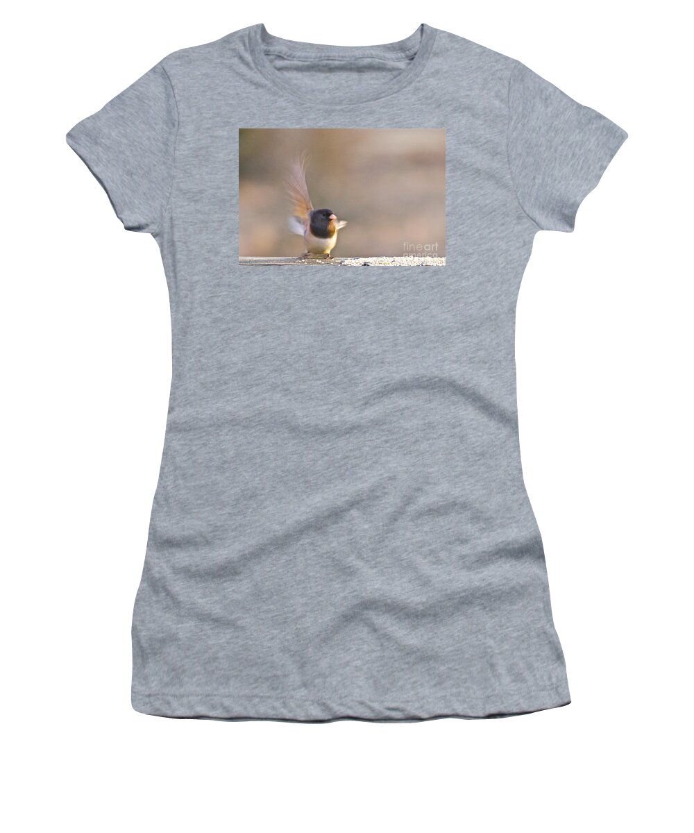 Photography Women's T-Shirt featuring the photograph Dark-eyed Junco Taking Flight by Sean Griffin