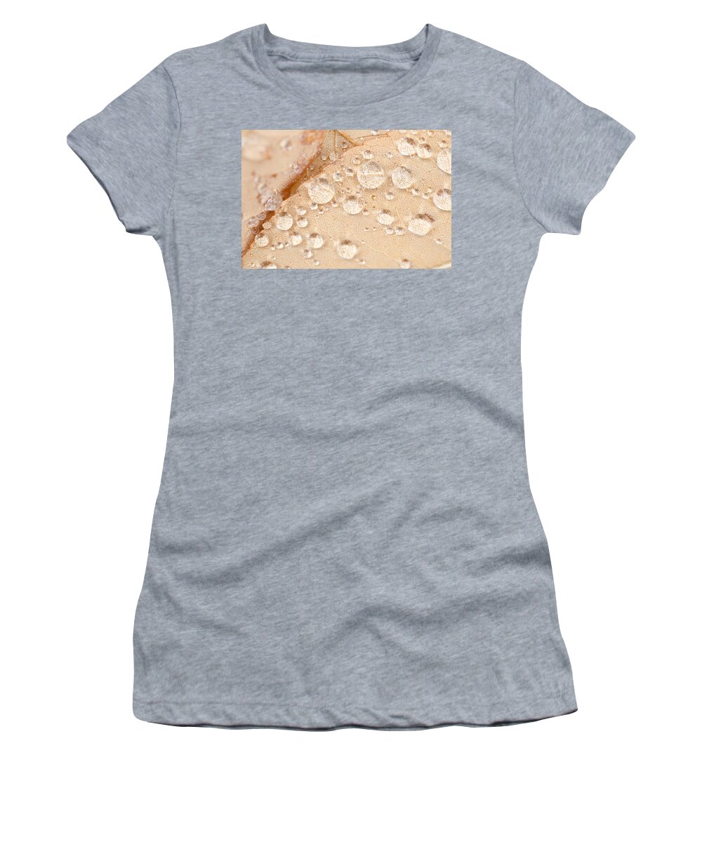 Rain Women's T-Shirt featuring the photograph Detailed Leaf Inspection by Margaret Pitcher