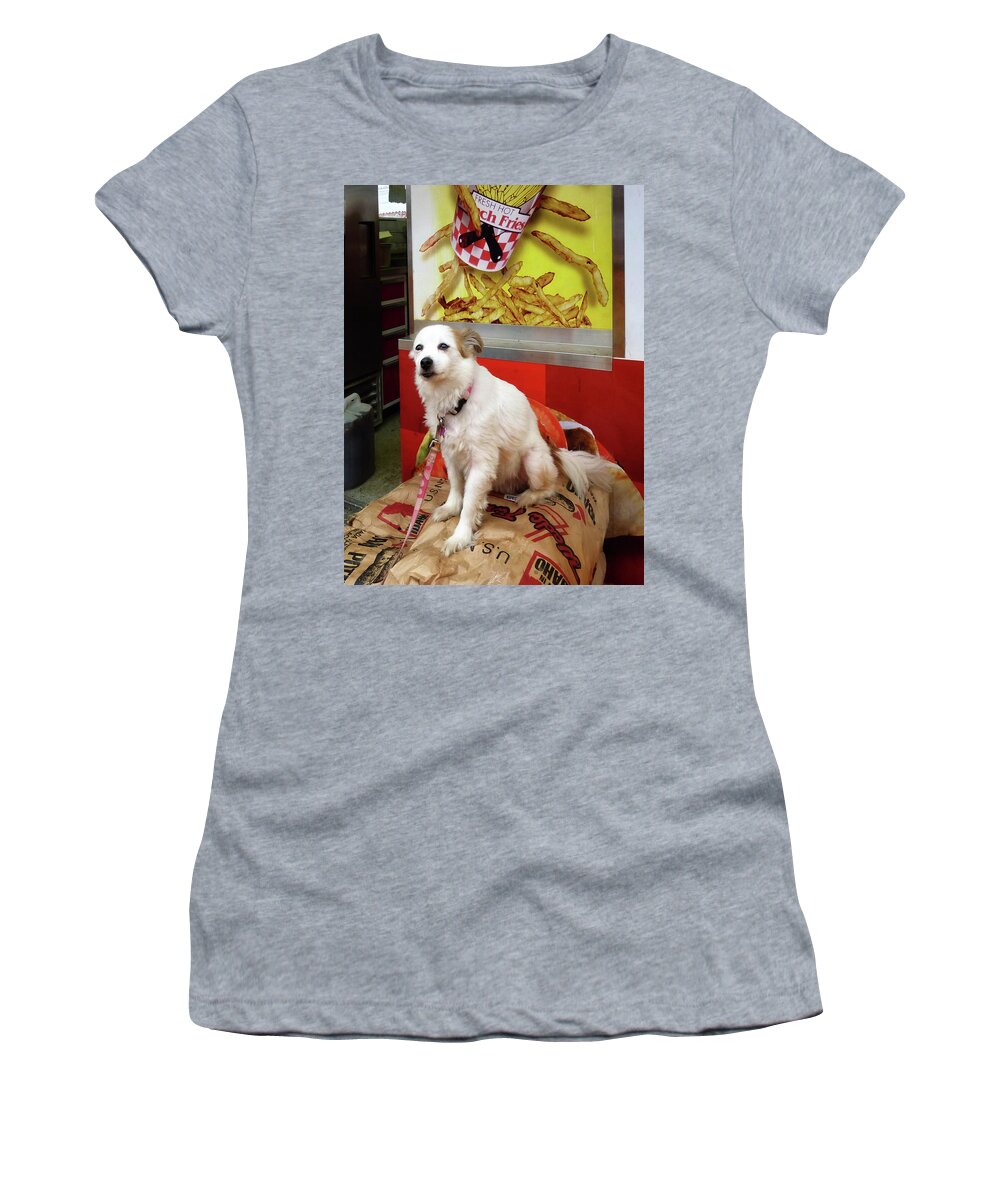 Dog Women's T-Shirt featuring the photograph Dog at Carnival by Susan Savad