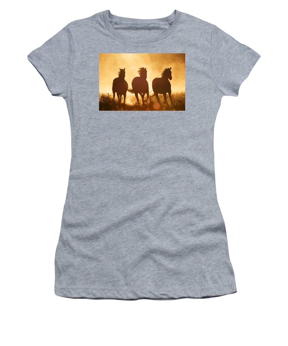 Mp Women's T-Shirt featuring the photograph Domestic Horse Equus Caballus Trio by Konrad Wothe