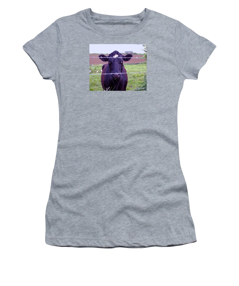 Cow Photography Women's T-Shirt featuring the photograph Don't Fence Me In by Patricia Griffin Brett