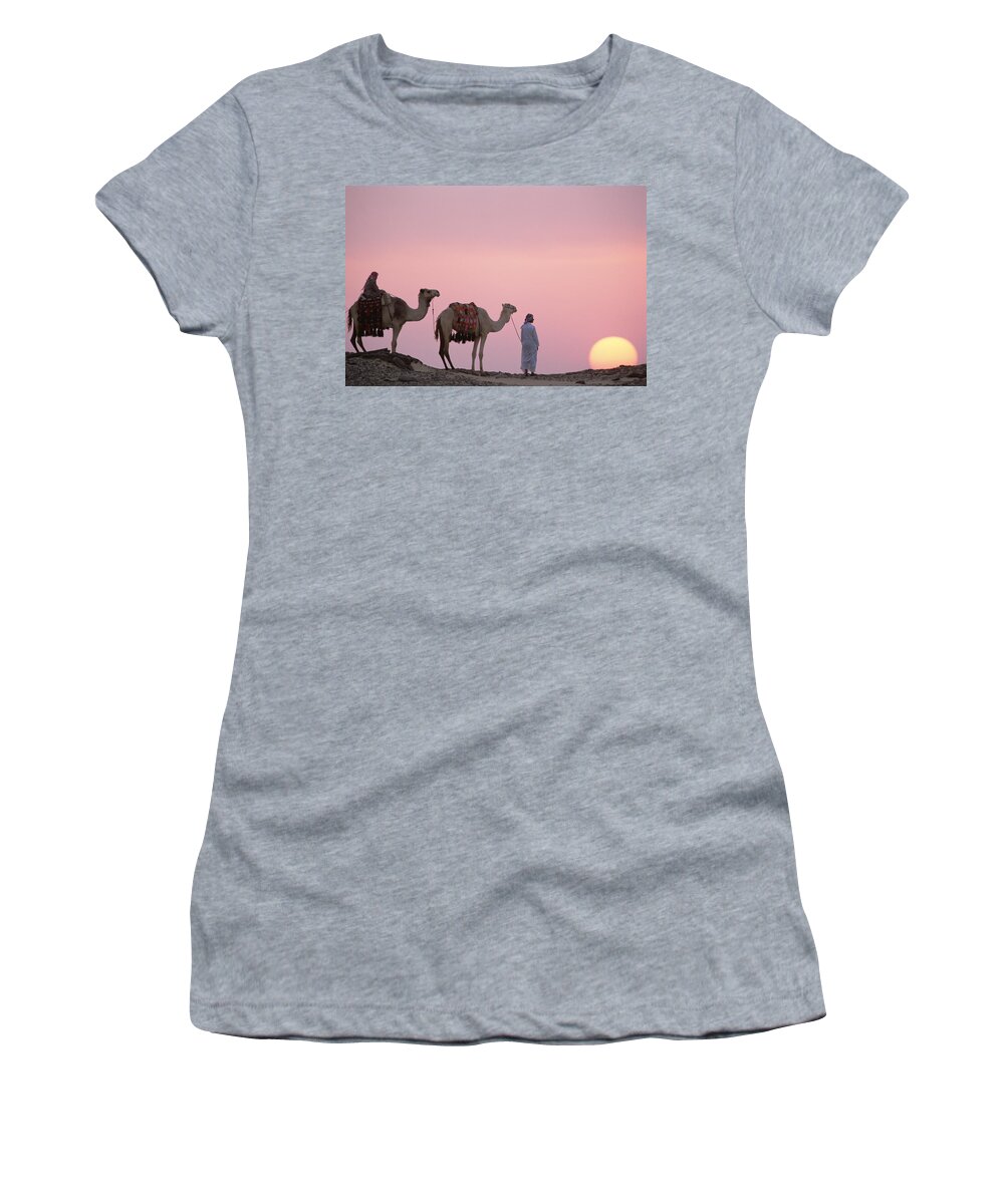 Mp Women's T-Shirt featuring the photograph Dromedary Camelus Dromedarius Pair by Gerry Ellis