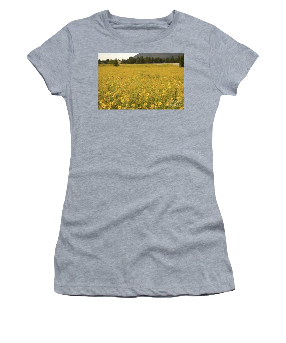 Fine Art Women's T-Shirt featuring the photograph Field of Yellow Daisy's by Donna Greene