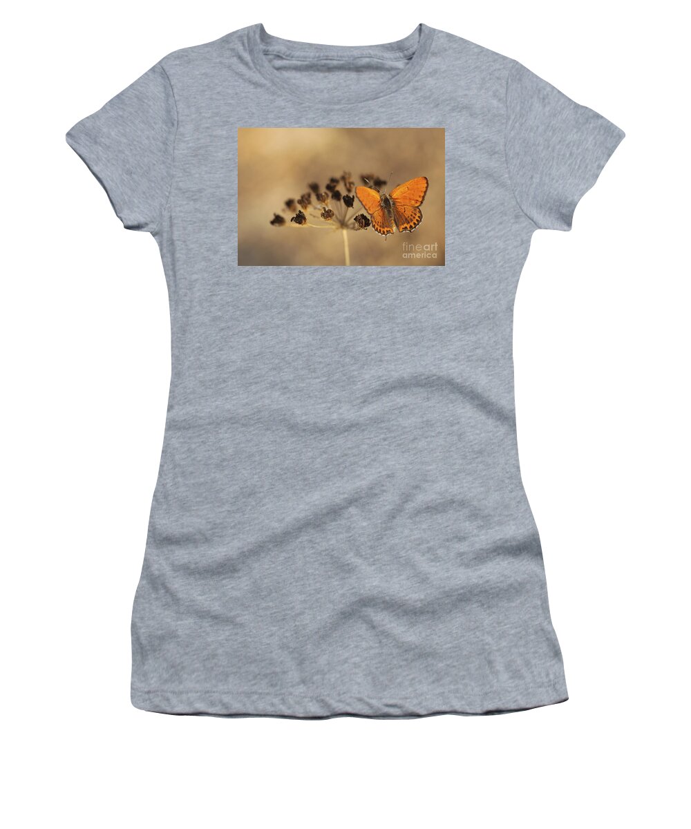 Orange Women's T-Shirt featuring the photograph Fiery Copper butterfly by Alon Meir 