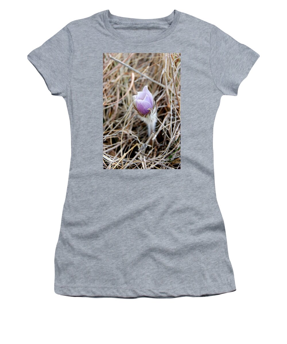 Dakota Women's T-Shirt featuring the photograph First Sign of Spring by Greni Graph